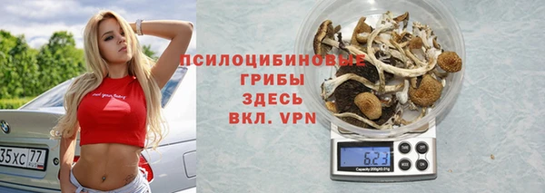 не бодяженный Алексин