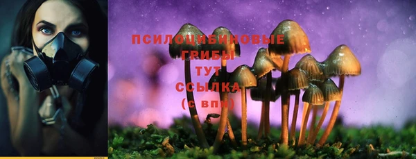 марки nbome Алексеевка