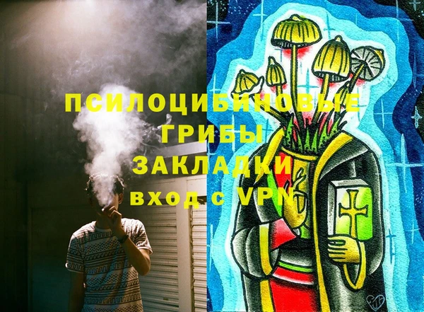 гашик Алзамай